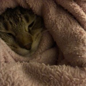 Meet your Posher, Mae